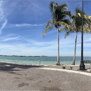 Meet your Posher, Allie